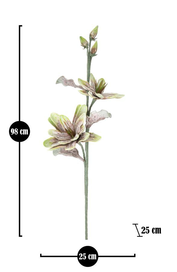 Mauro Ferretti Magnolia x2 Verde Ø 25 x 98 cm