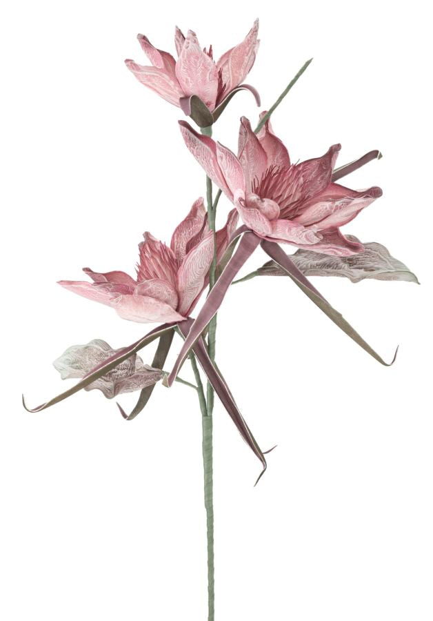 Mauro Ferretti Epiphy Hum x3 Rosa Ø 35 x 98 cm