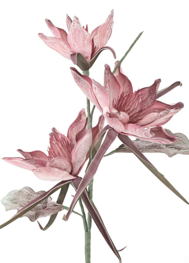 Mauro Ferretti Epiphy Hum x3 Rosa Ø 35 x 98 cm
