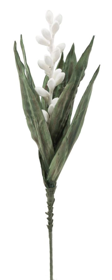 Mauro Ferretti Aloe Flower Bianco Ø 23 x 93 cm