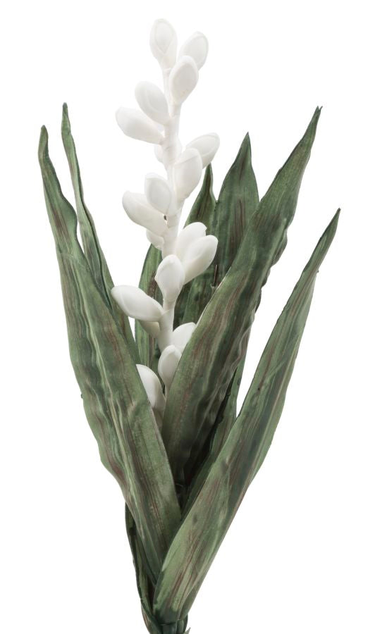 Mauro Ferretti Aloe Flower Bianco Ø 23 x 93 cm