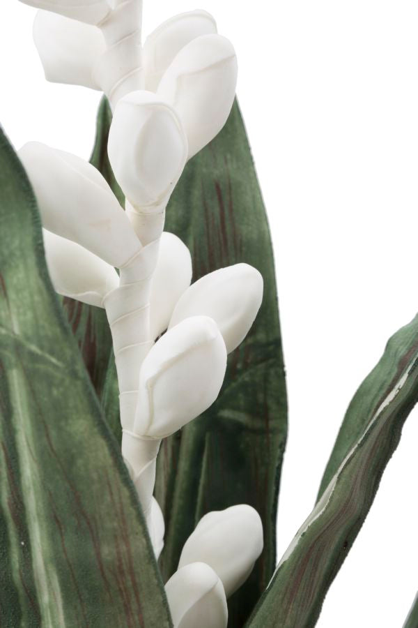 Mauro Ferretti Aloe Flower Bianco Ø 23 x 93 cm