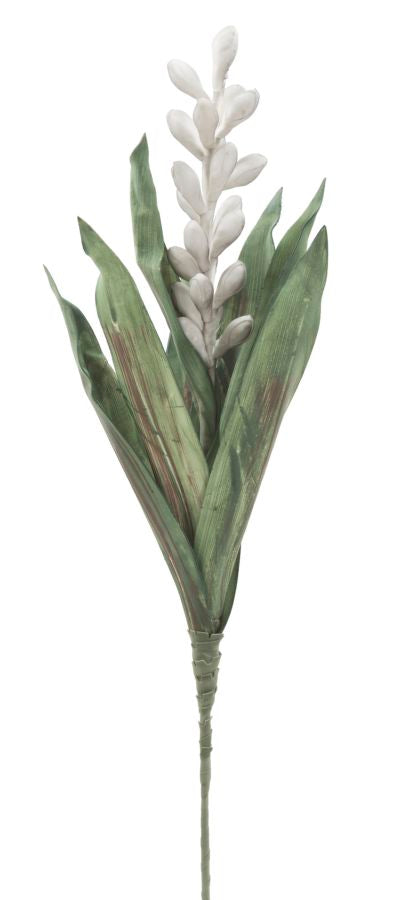Mauro Ferretti Aloe Flower Grigio Ø 23 x 93 cm