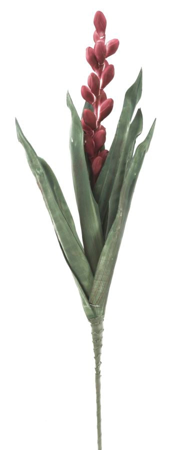 Mauro Ferretti Aloe Flower Rosa Ø 23 x 93 cm