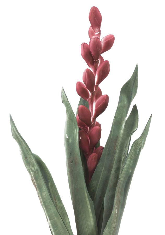 Mauro Ferretti Aloe Flower Rosa Ø 23 x 93 cm