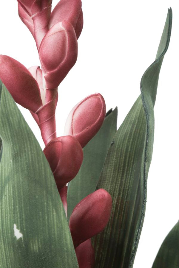 Mauro Ferretti Aloe Flower Rosa Ø 23 x 93 cm