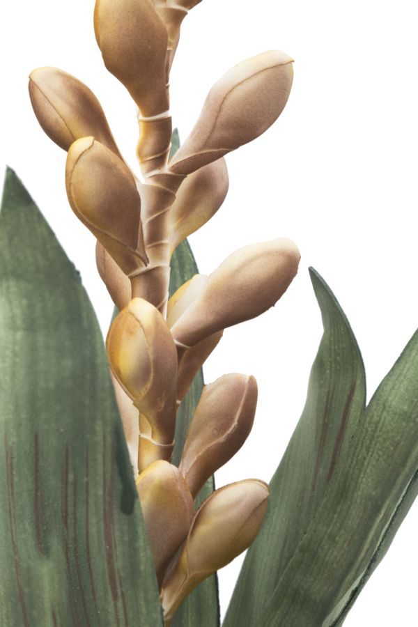 Mauro Ferretti Aloe Flower Giallo Ø 23 x 93 cm