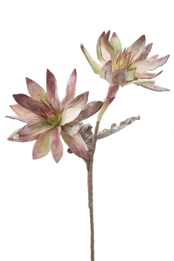 Mauro Ferretti Glsang Flower x2 Verde Ø 28 x 88 cm