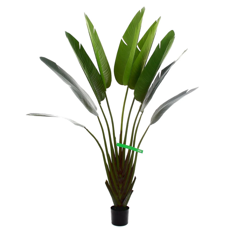 Strelitzia artificiale 180 cm Emerald