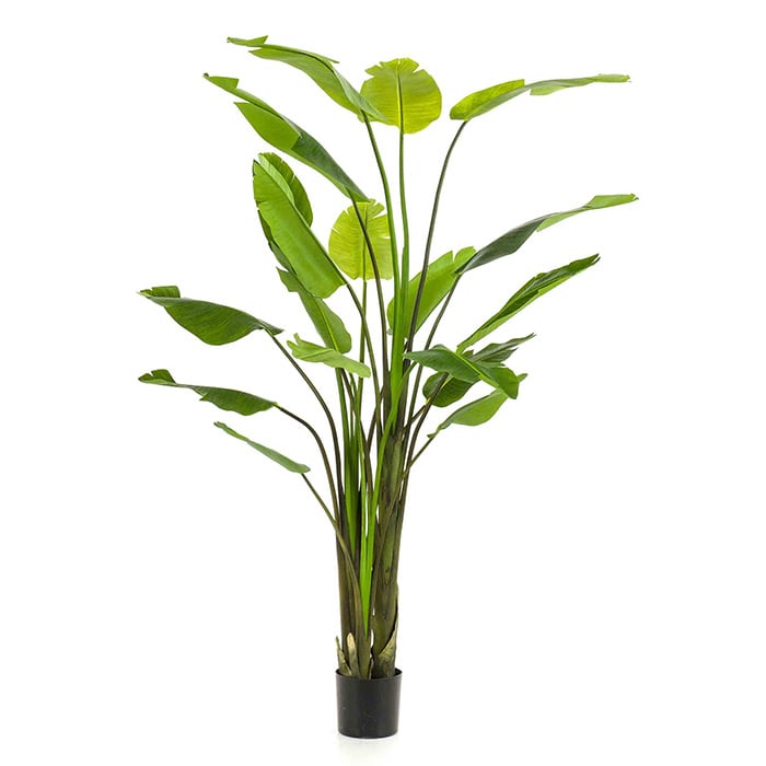 Strelitzia Nicolai artificiale 235 cm Emerald